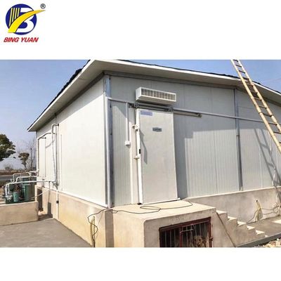 As energias solares de R404A 150mm Containerized a sala fria, sala fria de armazenamento de gelo