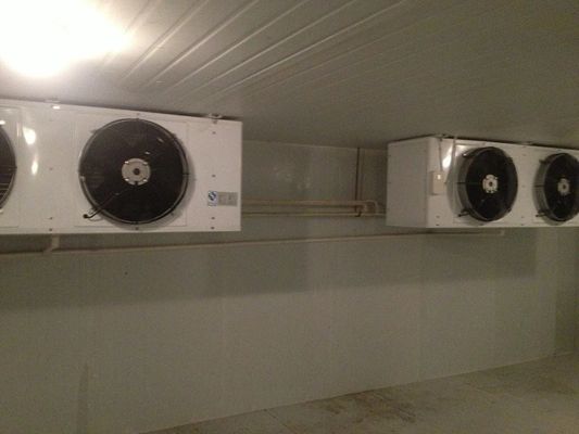 unidades de refrigeração mais frescas de 20m2 R404A, armazenamento frio pequeno