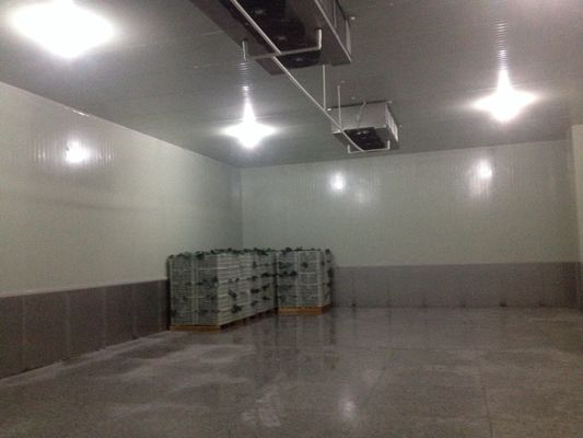 unidades de refrigeração mais frescas de 20m2 R404A, armazenamento frio pequeno